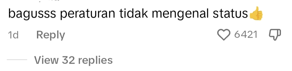 netizen comment on TikTok.