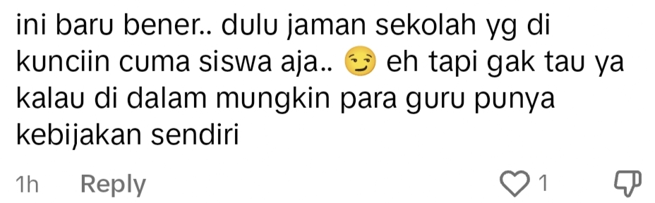 netizen comment on TikTok.
