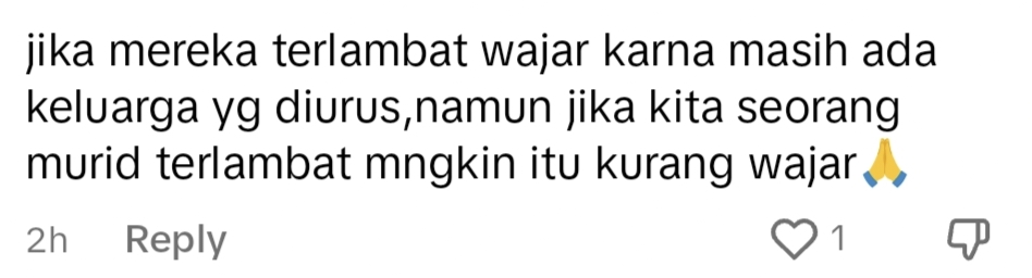 netizen comment on TikTok.