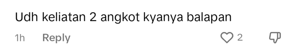 netizen comment on TikTok.
