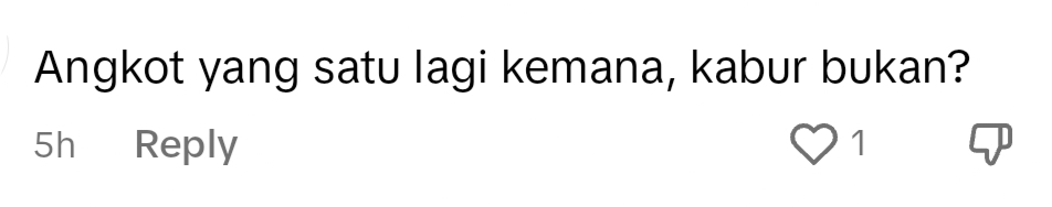 netizen comment on TikTok.