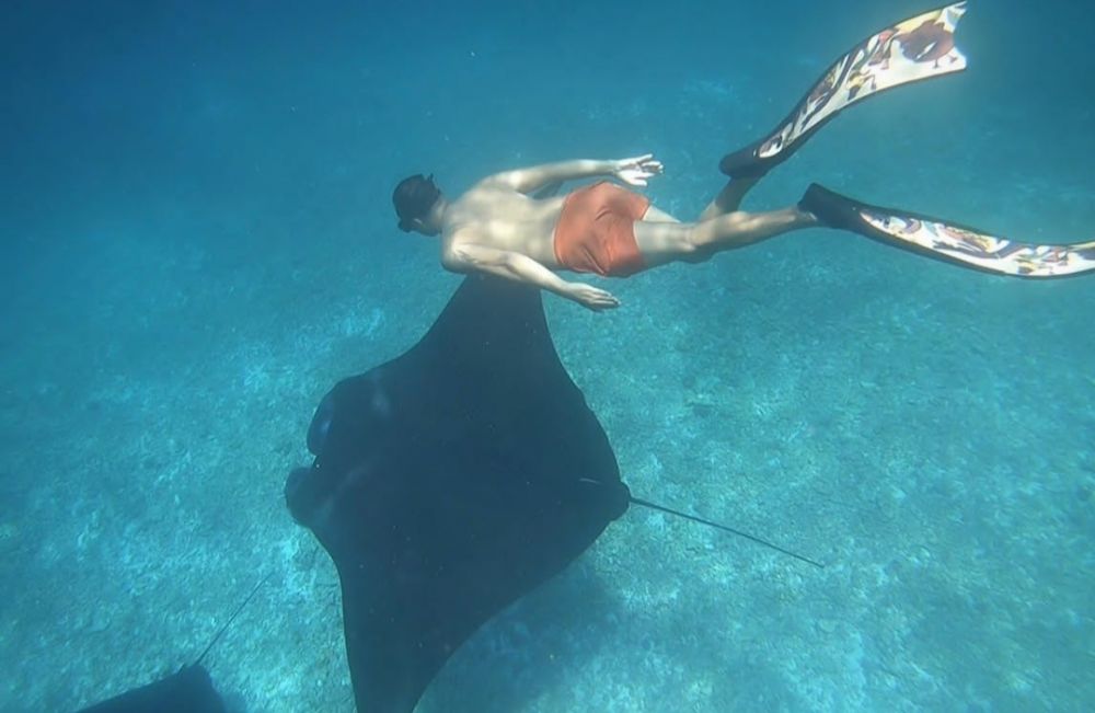 Manta Point Labuan Bajo (photo: instagram.com/musttraveler_journey)