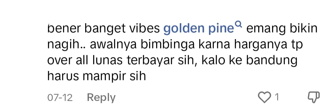 netizen testimony on TikTok