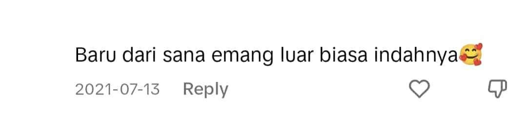 netizen reaction on TikTok
