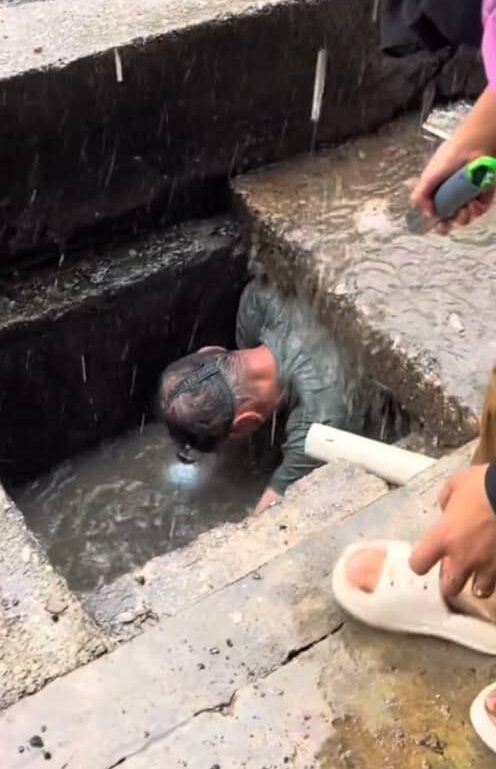 Uncle Cat submerged himself into the drain filled with rainwater during a heavy rain (TikTok: kittycatgrocery)