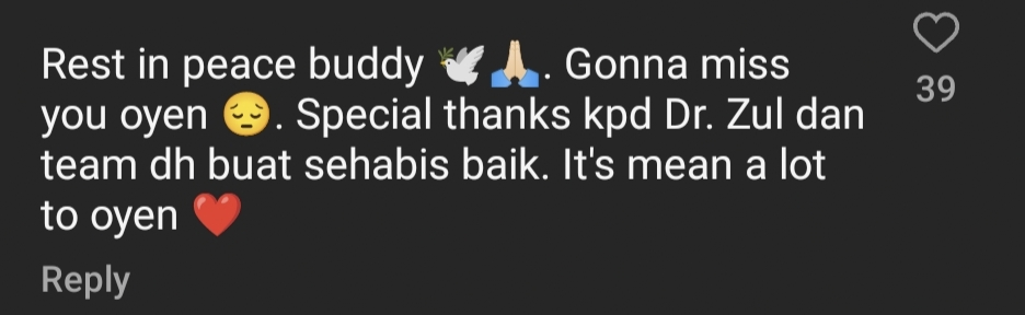 Netizen comment on Dr. Zul Erwan Instagram
