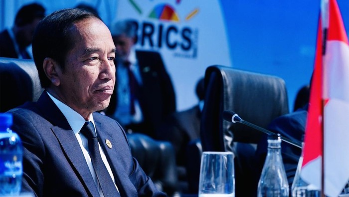 President Joko Widodo attended the BRICS Summit in South Africa. (Photo: Presidential Secretariat Press Bureau).