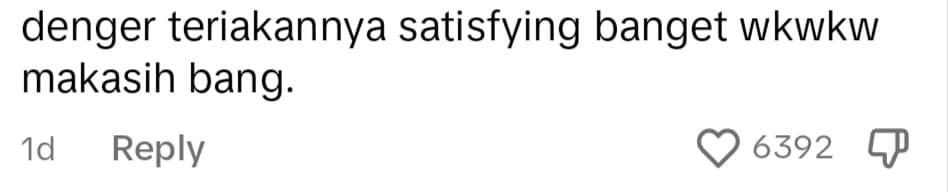 Netizen comment on TikTok.