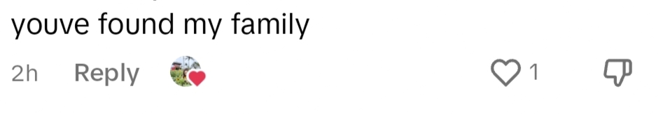 Netizens comment on TikTok.
