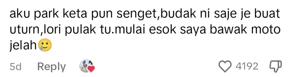 Netizen comment on TikTok.
