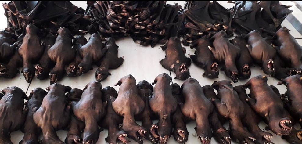 Roasted dog and bat at Tomohon Market, North Sulawesi.