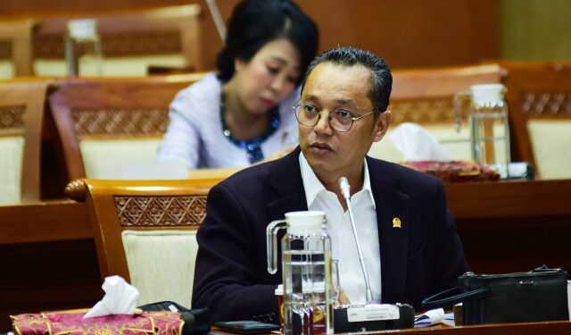 Deddy Yevri Sitorus, a politician from the Indonesian Democratic Party of Struggle (PDI-P)