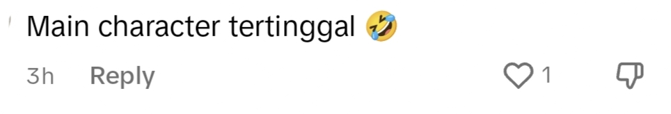 netizen comment on TikTok.