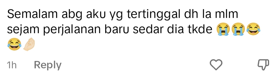 netizen comment on TikTok.