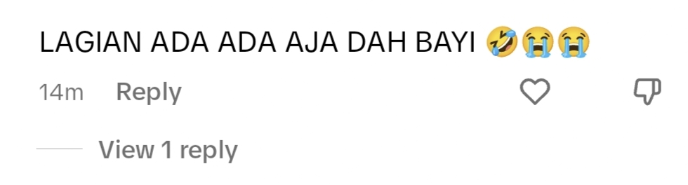 netizen reaction on TikTok.