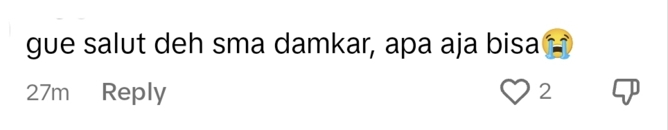 netizen reaction on TikTok.