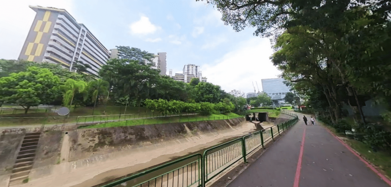 The fishes was released at a canal near Block 25 Ghim Moh Link. (Photo: Google Maps)