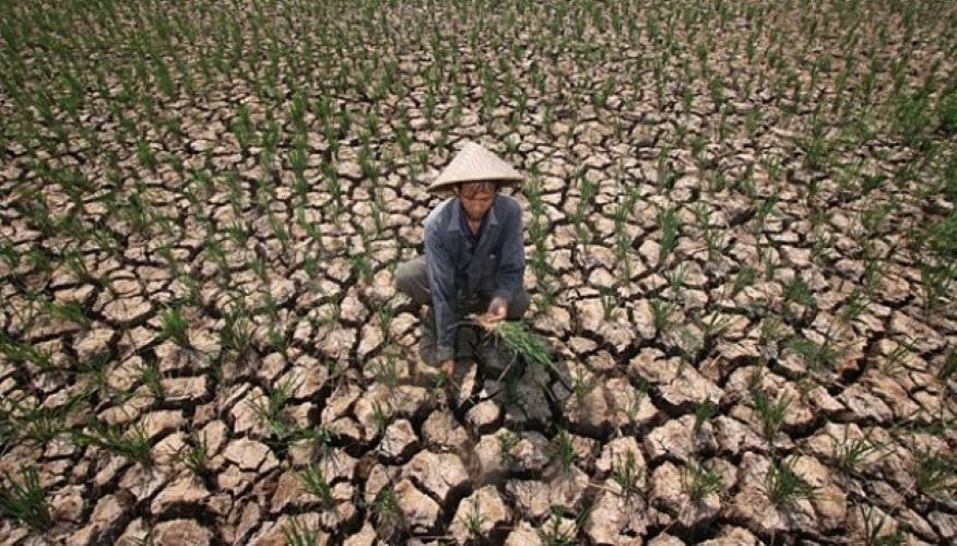 Illustration. Dry land (Photo: AsiaToday.id)
