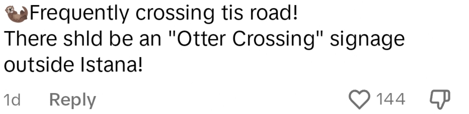 comment otters