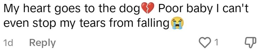 comment