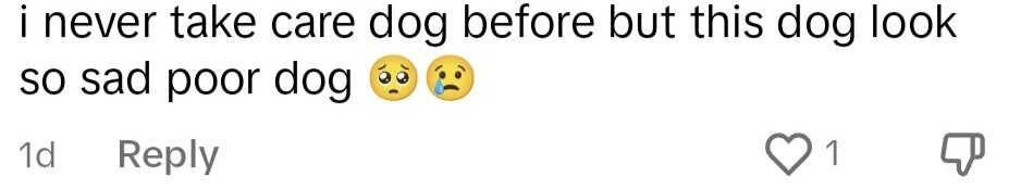 comment