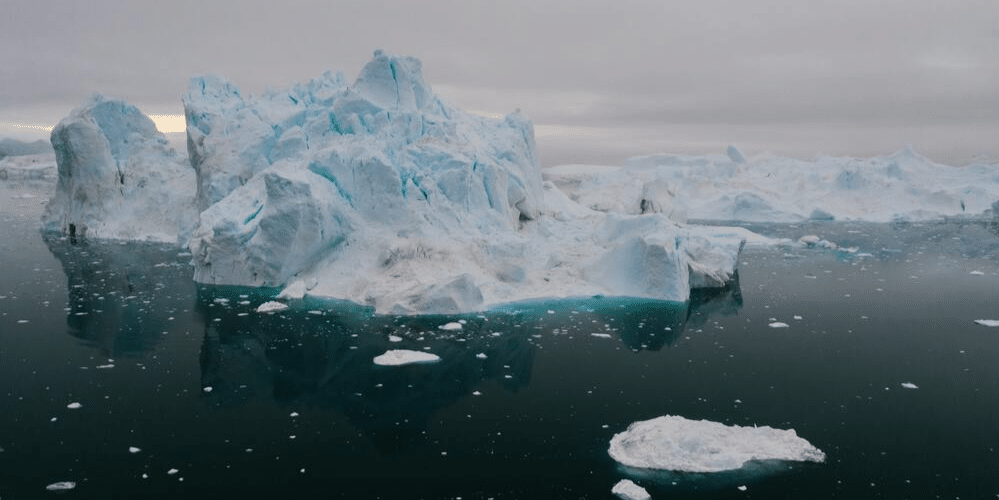 WWF urges end to deadlock on new Antarctic reserves
