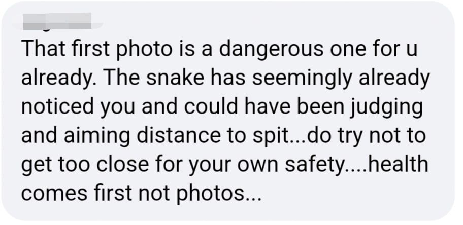comment