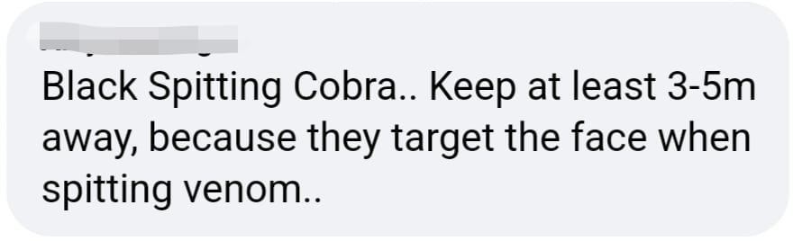 comment