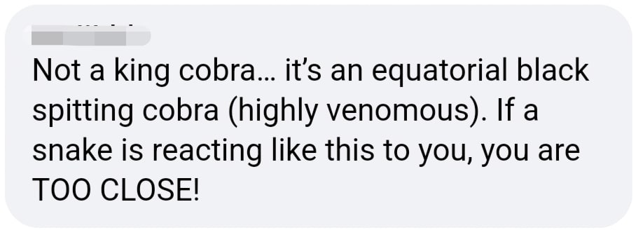 comment