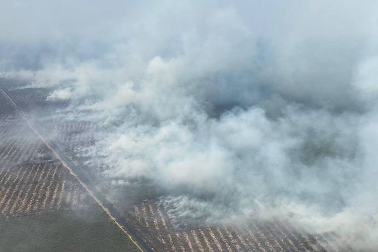 The forest fire situation ongoing in Ogan Komering Ilir Regency, South Sumatra. (Photo: the documentation of the 'Public Relations of the Government of South Sumatra Province)