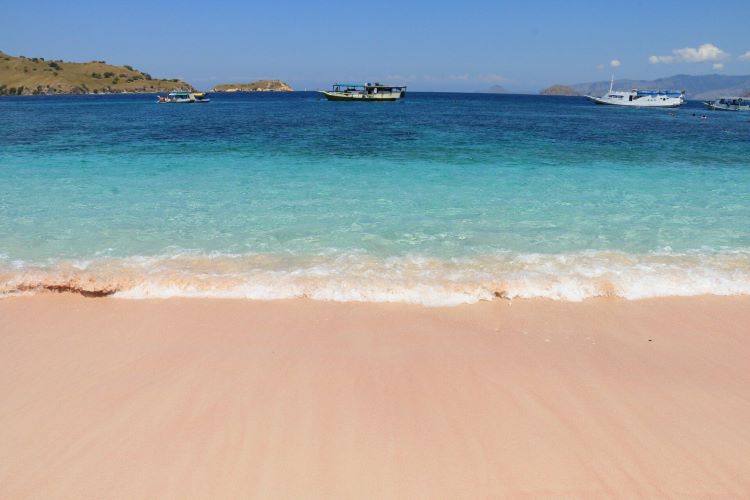 Tourist from China reported missing at Long Pink Beach, Komodo National Park