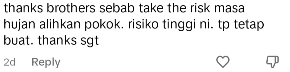 fallen tree comment