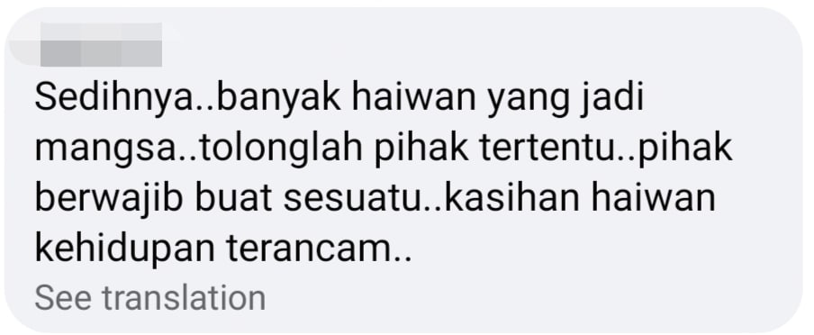 tapir comment