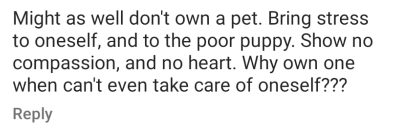 comment