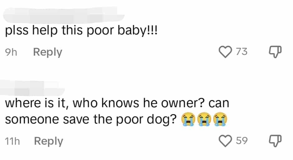 comment