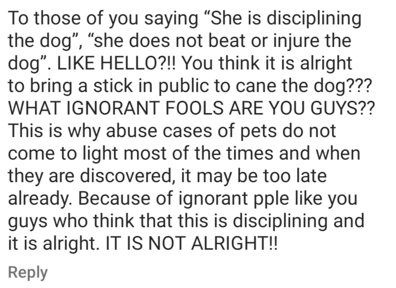 dog abused