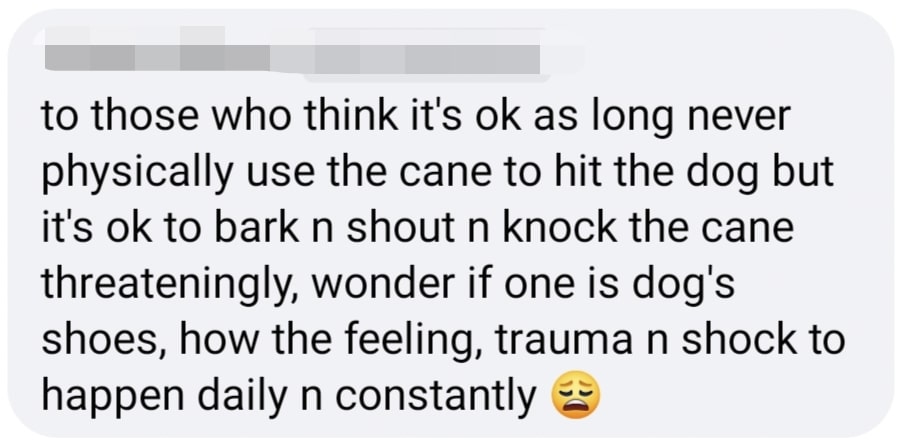 dog abused