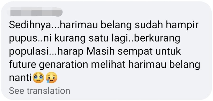 malayan tiger comment