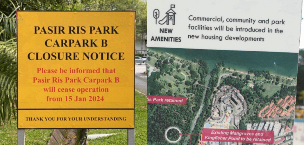 Citizens call for HDB to honor promise of minimal wildlife disturbance in Pasir Ris development