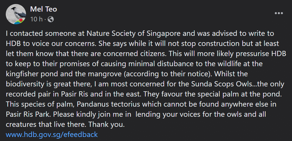 (Photo: Mel Teo/Singapore Wildlife Sightings Facebook group)
