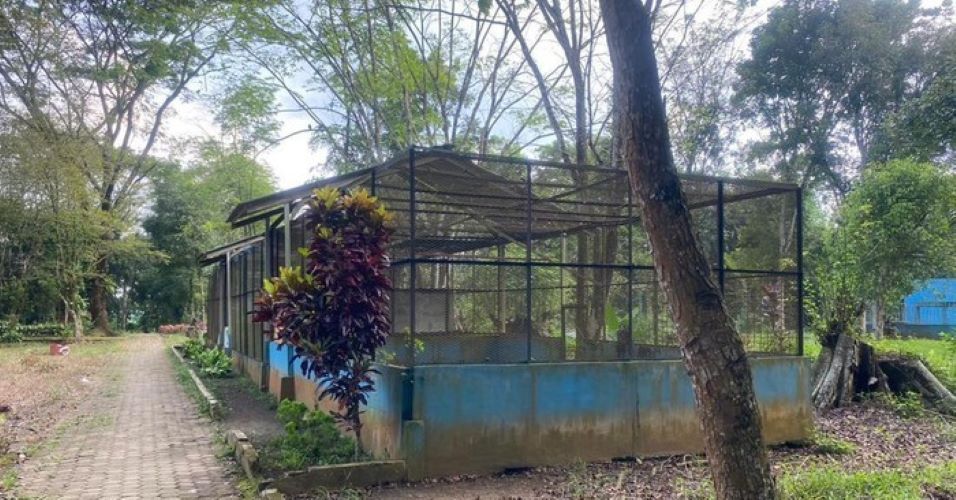 The current neglected state of Medan Zoo. (Photo: detik.com)