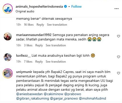 (Source: Instagram/Animals Hope Shelter Indonesia)