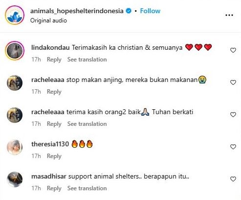 (Source: Instagram/Animals Hope Shelter Indonesia)