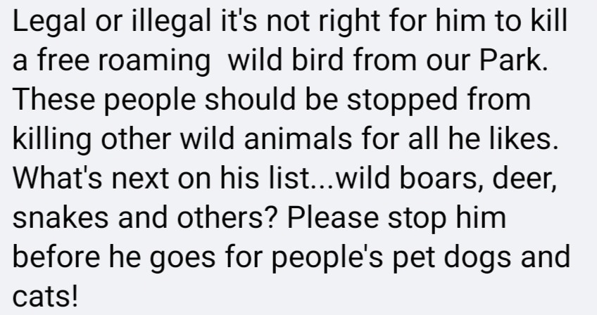 comment