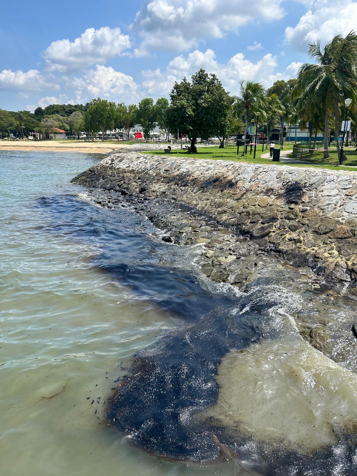 East Coast Park Area G on jetty facing National Sailing Centre (16 June 2024)